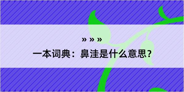 一本词典：鼻洼是什么意思？