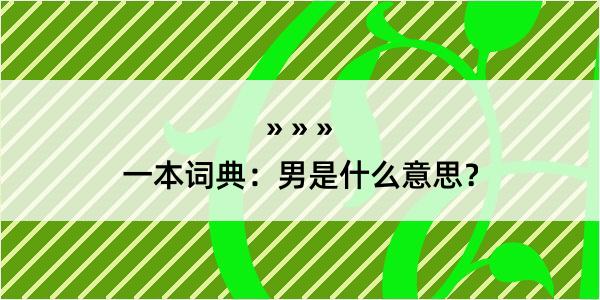 一本词典：男是什么意思？