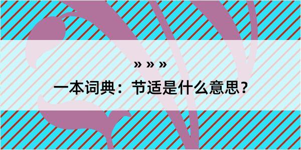 一本词典：节适是什么意思？