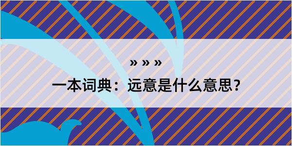 一本词典：远意是什么意思？