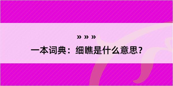 一本词典：细瞧是什么意思？