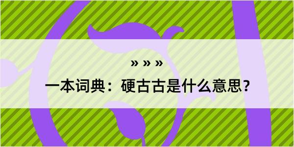 一本词典：硬古古是什么意思？