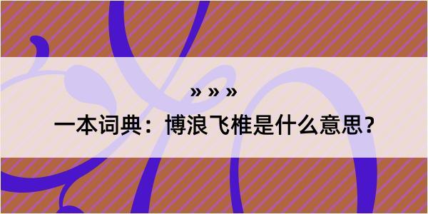 一本词典：博浪飞椎是什么意思？