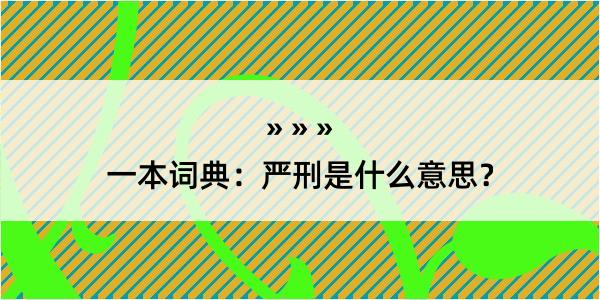 一本词典：严刑是什么意思？