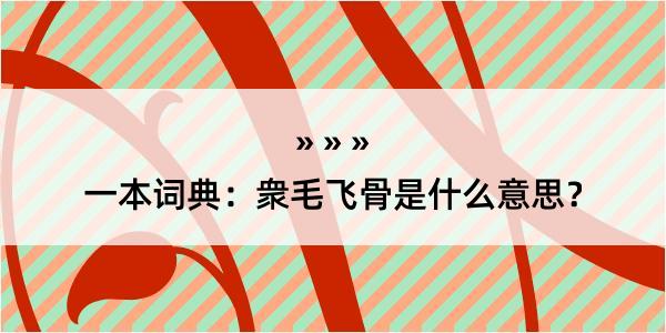 一本词典：衆毛飞骨是什么意思？