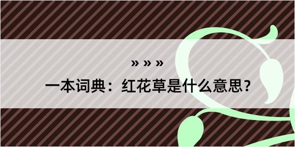 一本词典：红花草是什么意思？