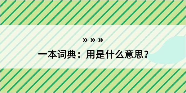 一本词典：用是什么意思？