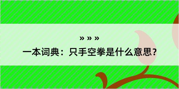 一本词典：只手空拳是什么意思？