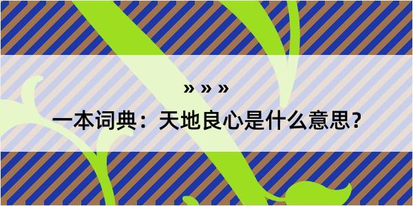 一本词典：天地良心是什么意思？