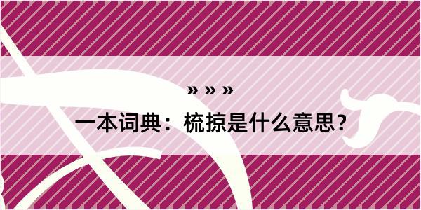 一本词典：梳掠是什么意思？