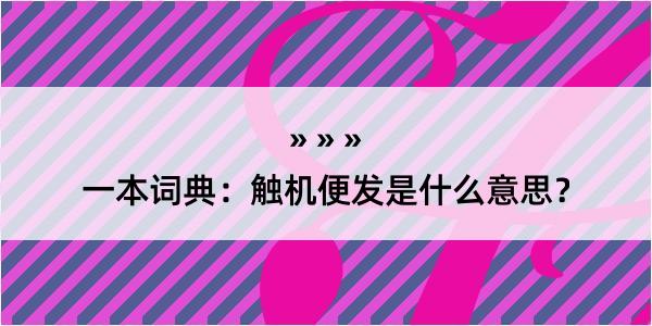 一本词典：触机便发是什么意思？