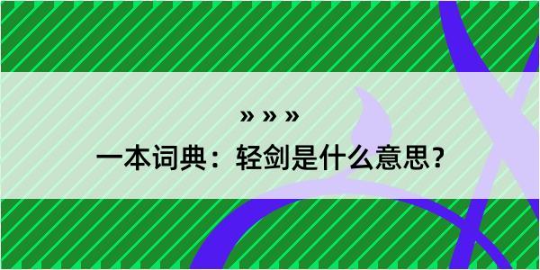 一本词典：轻剑是什么意思？