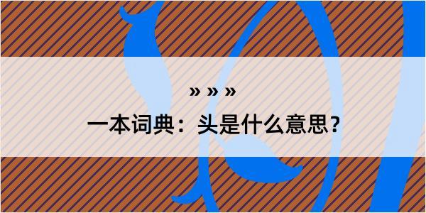 一本词典：头是什么意思？