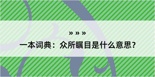 一本词典：众所瞩目是什么意思？