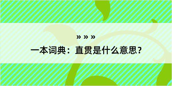 一本词典：直贯是什么意思？