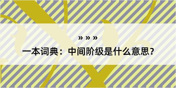 一本词典：中间阶级是什么意思？