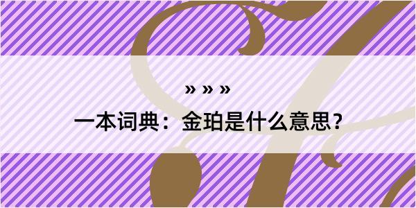 一本词典：金珀是什么意思？