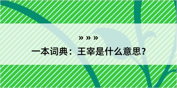 一本词典：王宰是什么意思？