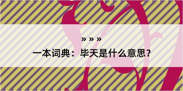 一本词典：毕天是什么意思？