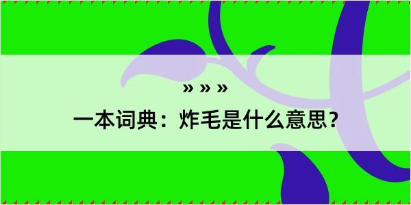 一本词典：炸毛是什么意思？