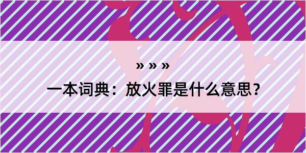 一本词典：放火罪是什么意思？