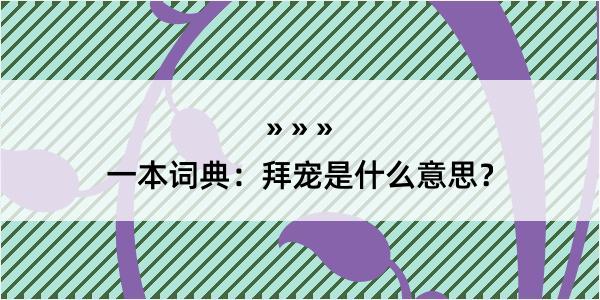 一本词典：拜宠是什么意思？