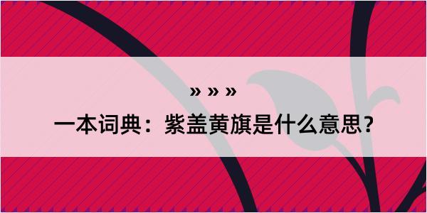 一本词典：紫盖黄旗是什么意思？