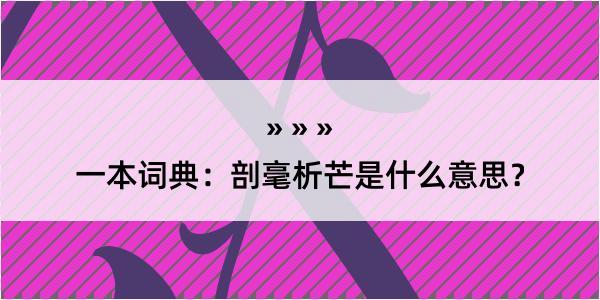 一本词典：剖毫析芒是什么意思？