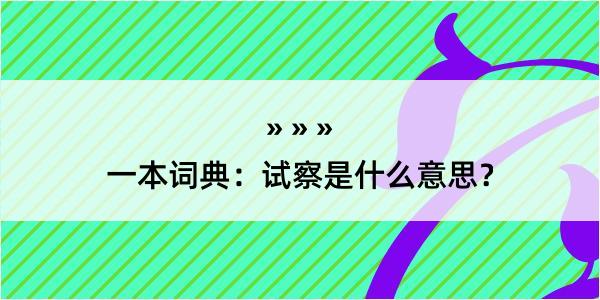 一本词典：试察是什么意思？