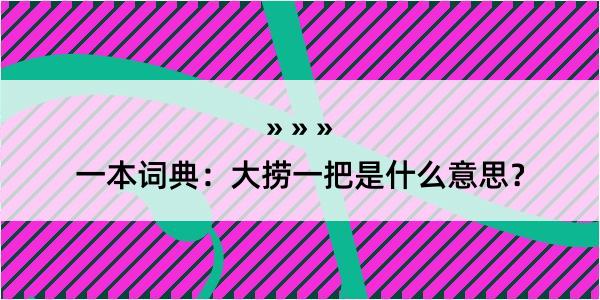 一本词典：大捞一把是什么意思？