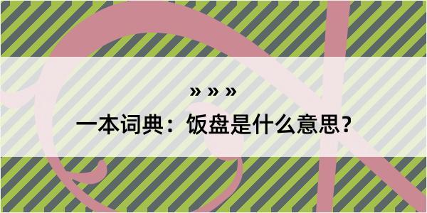 一本词典：饭盘是什么意思？