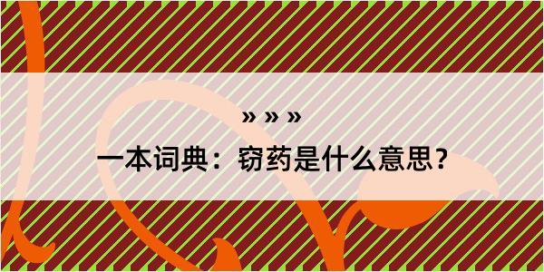 一本词典：窃药是什么意思？