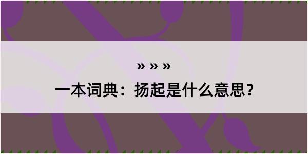 一本词典：扬起是什么意思？