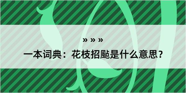 一本词典：花枝招颭是什么意思？