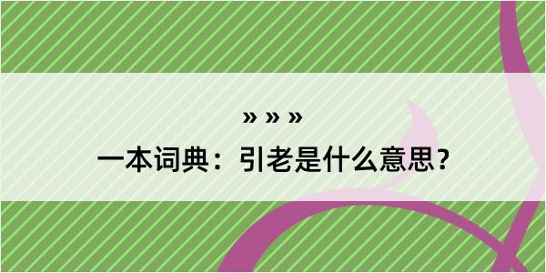 一本词典：引老是什么意思？