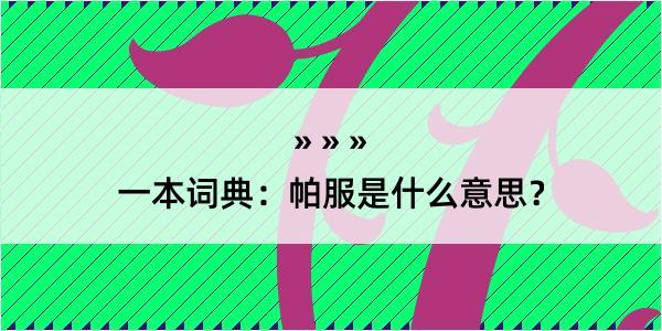 一本词典：帕服是什么意思？