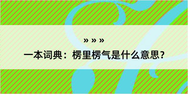 一本词典：楞里楞气是什么意思？