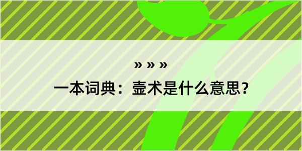 一本词典：壸术是什么意思？