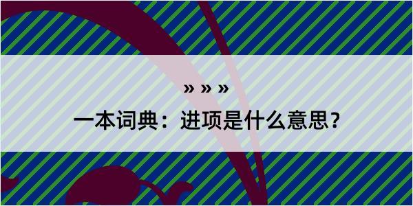 一本词典：进项是什么意思？