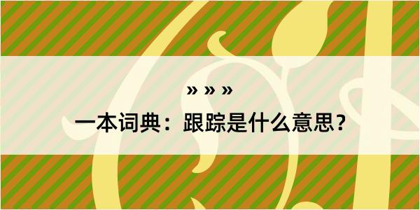 一本词典：跟踪是什么意思？