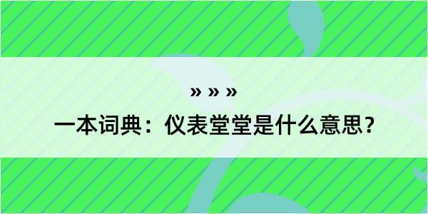 一本词典：仪表堂堂是什么意思？