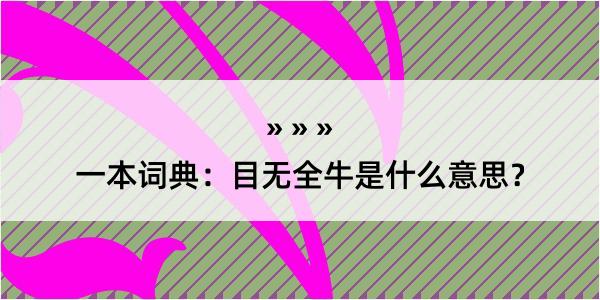 一本词典：目无全牛是什么意思？