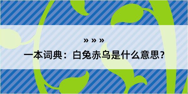 一本词典：白兔赤乌是什么意思？