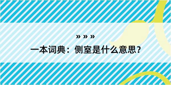 一本词典：侧室是什么意思？