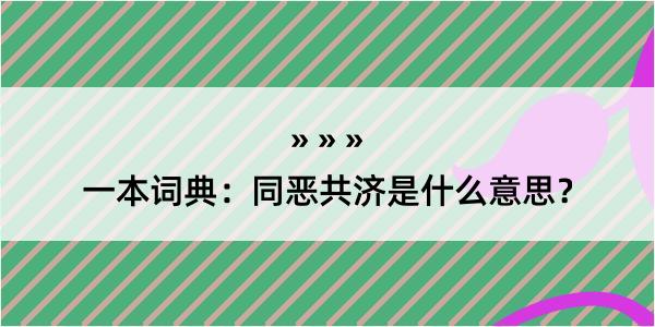 一本词典：同恶共济是什么意思？