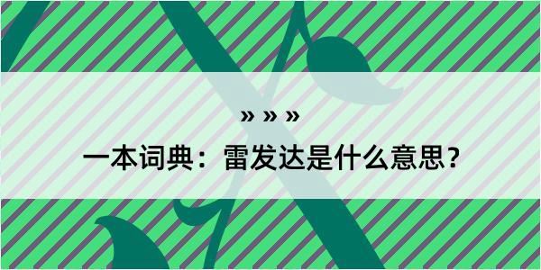 一本词典：雷发达是什么意思？