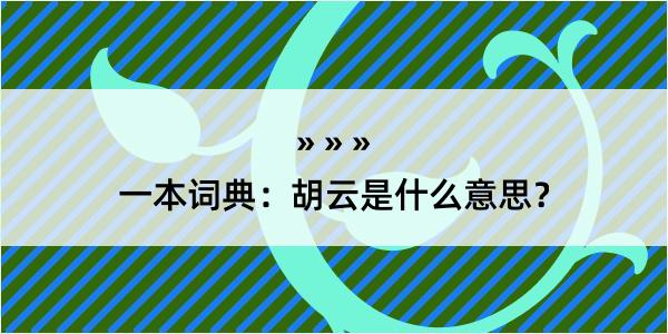 一本词典：胡云是什么意思？