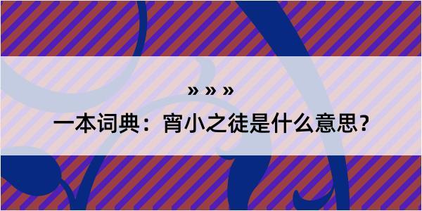 一本词典：宵小之徒是什么意思？