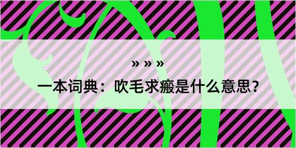 一本词典：吹毛求瘢是什么意思？