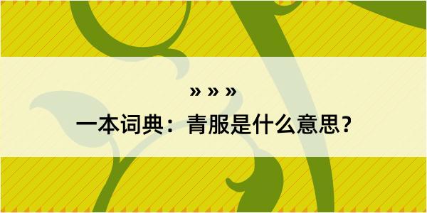 一本词典：青服是什么意思？